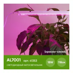 41353_2.jpg