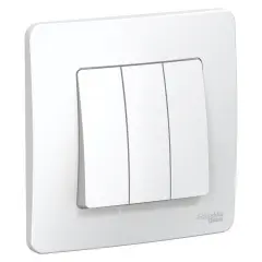 blnvs100501_1.jpg