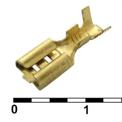 81010_1.jpg
