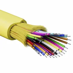 rndt9c24yl01_e_1.jpg