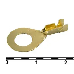 81005_1.jpg
