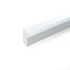 10377_2.jpg