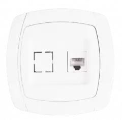 14Roz. RJ-45 + Phone (Parig) 1A 120V bel,beg.png