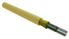 foc0902_d_in02_hf_1000_1.jpg