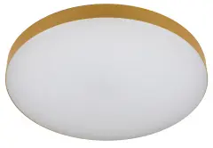б0059502_1.jpg