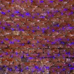 215_022_1.jpg