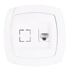 14Roz. RJ-45 + Phone (Parig) 1A 120V bel,beg.png
