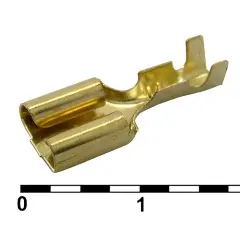 80996_1.jpg