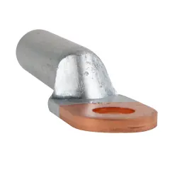 278170_1.jpg