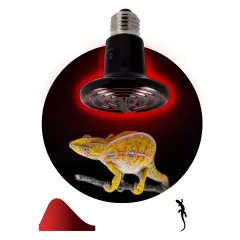 б0052716_1.jpg