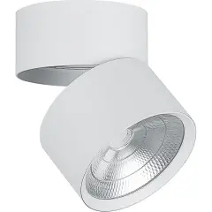 32461_2.jpg