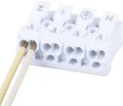 32735_2.jpg