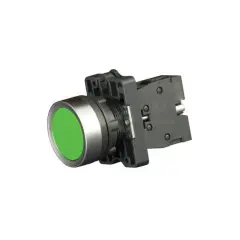 bv_1_ca31_1.jpg