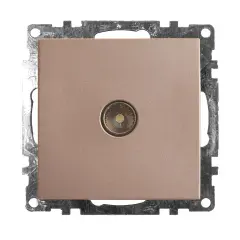 39600_2.jpg