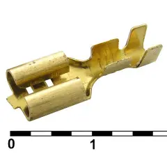 80995_1.jpg