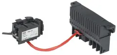 sva30d_rm_02_1.jpg