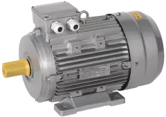 AIS 100L2
