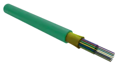foc5003_d_in24_hf_2000_1.jpg