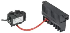 sva30d_rm_02_1.jpg