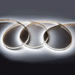 501450_1.jpg