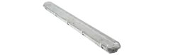 15651_1.jpg