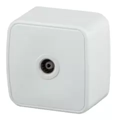 б0036101_1.jpg