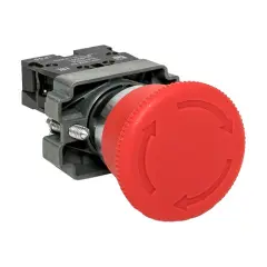 xb2_bs542_65_1.jpg
