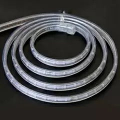26256_1.jpg