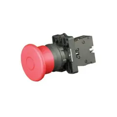bv_1_ct42_1.jpg