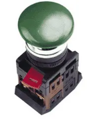 1AEA-22 Grib