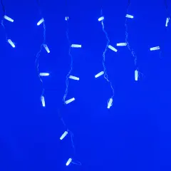 026016_1.jpg