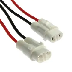 99905_1.jpg