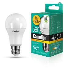 11253cam_1.jpg