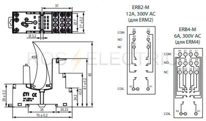 erb-2m