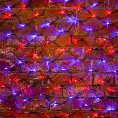 215_013_1.jpg
