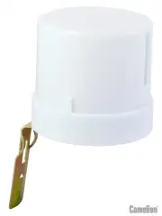 6466_1.jpg