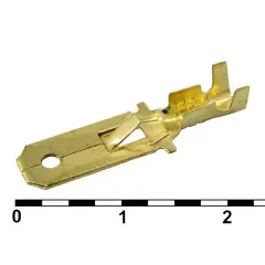 80991_1.jpg