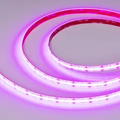 041390_1.jpg
