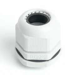 49381_1.jpg