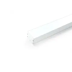 10373_2.jpg