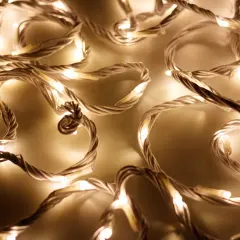 025920_1.jpg