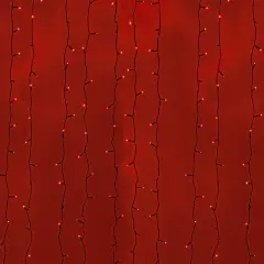 235_162_1.jpg