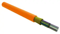 foc6201_d_in04_hf_2000_1.jpg