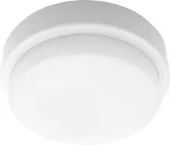 29613_2.jpg