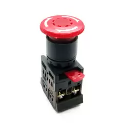 013 AE-22 (Gribok) s fiks..pn