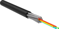 foc0902_u_io08_td_hf_1500_1.jpg