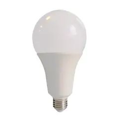 ul_00008785_1.jpg