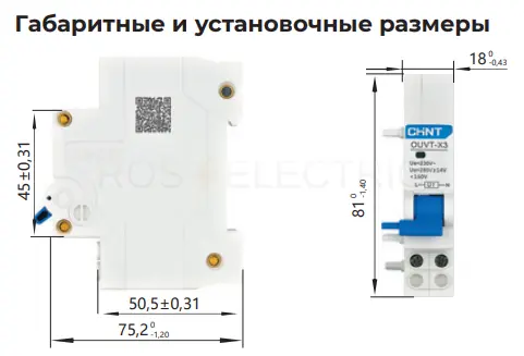 816985_2.jpg