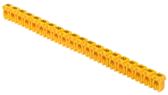 umk_ke1_b_1.jpg