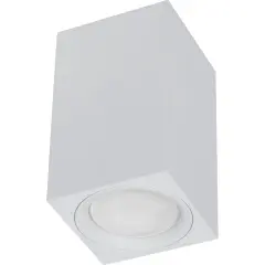 41199_2.jpg